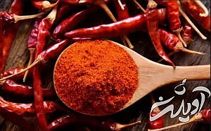 ۲۰ واقعیت جالب، بامزه و باورنکردنی برای ذهن های کنجکاو که آموزنده نیز هستند